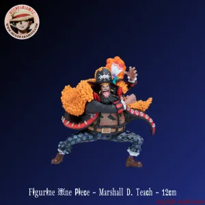 Figurine One Piece - Marshall D. Teach Award Trophy Everyday Use