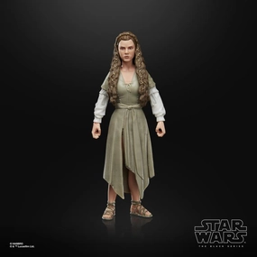Lasting Value Viral Sensation Hasbro Star Wars Black Series Return of the Jedi #09 Princess Leia (Ewok Village) 6 Inch Action Figure