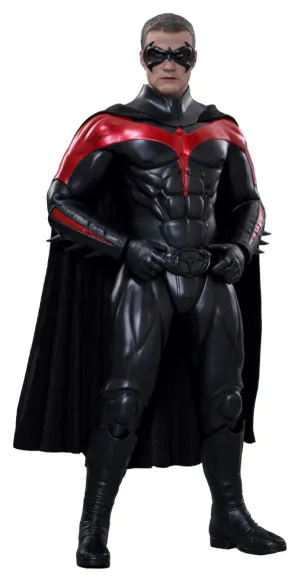 BPA free Gardening Kit Hot Toys Robin - Batman & Robin - MMS787 - 1/6 Scale Collectible Figure