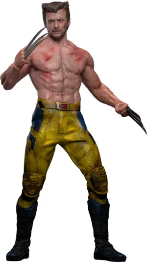 Space Awareness Portable Size Hot Toys Wolverine (TVA Jacket Version) - Deadpool & Wolverine - MMS756 - 1/6 Scale Collectible Figure