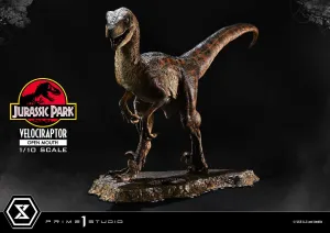 Water Protect Farm Setup Prime 1 Studio Jurassic Park Velociraptor Open Mouth Prime Collectibles 1/10 Statue