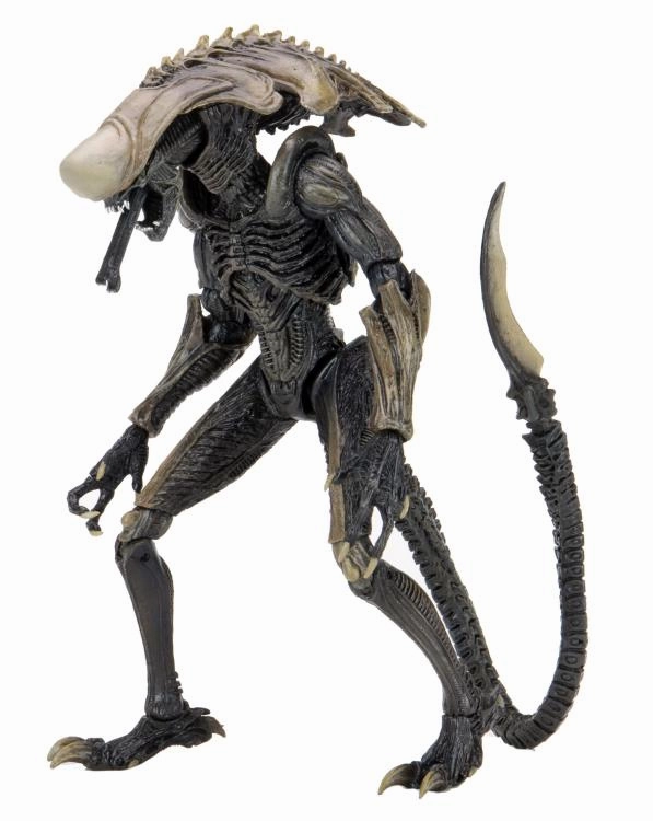 NECA Alien vs. Predator Chrysalis Alien (Movie Deco) Action Figure Rare Edition Viking Statue