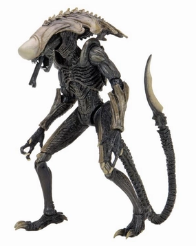 NECA Alien vs. Predator Chrysalis Alien (Movie Deco) Action Figure Rare Edition Viking Statue