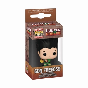 Miniature Object POP KEYCHAIN HUNTER X HUNTER GON FREECSS VIN FIG